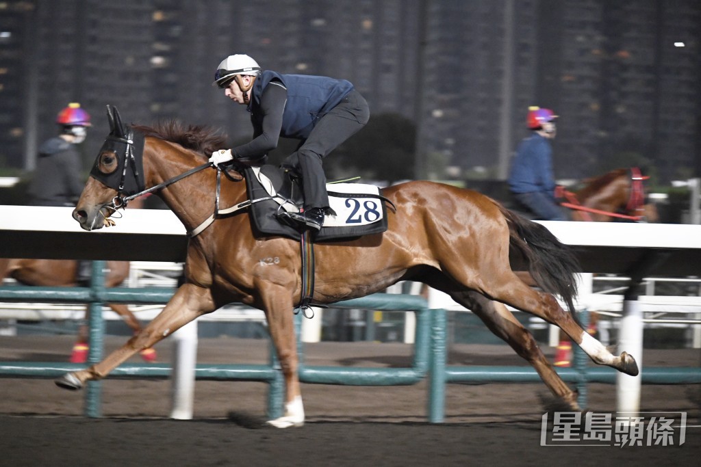 「東方魅影」勁度唔錯，論態一直出色。