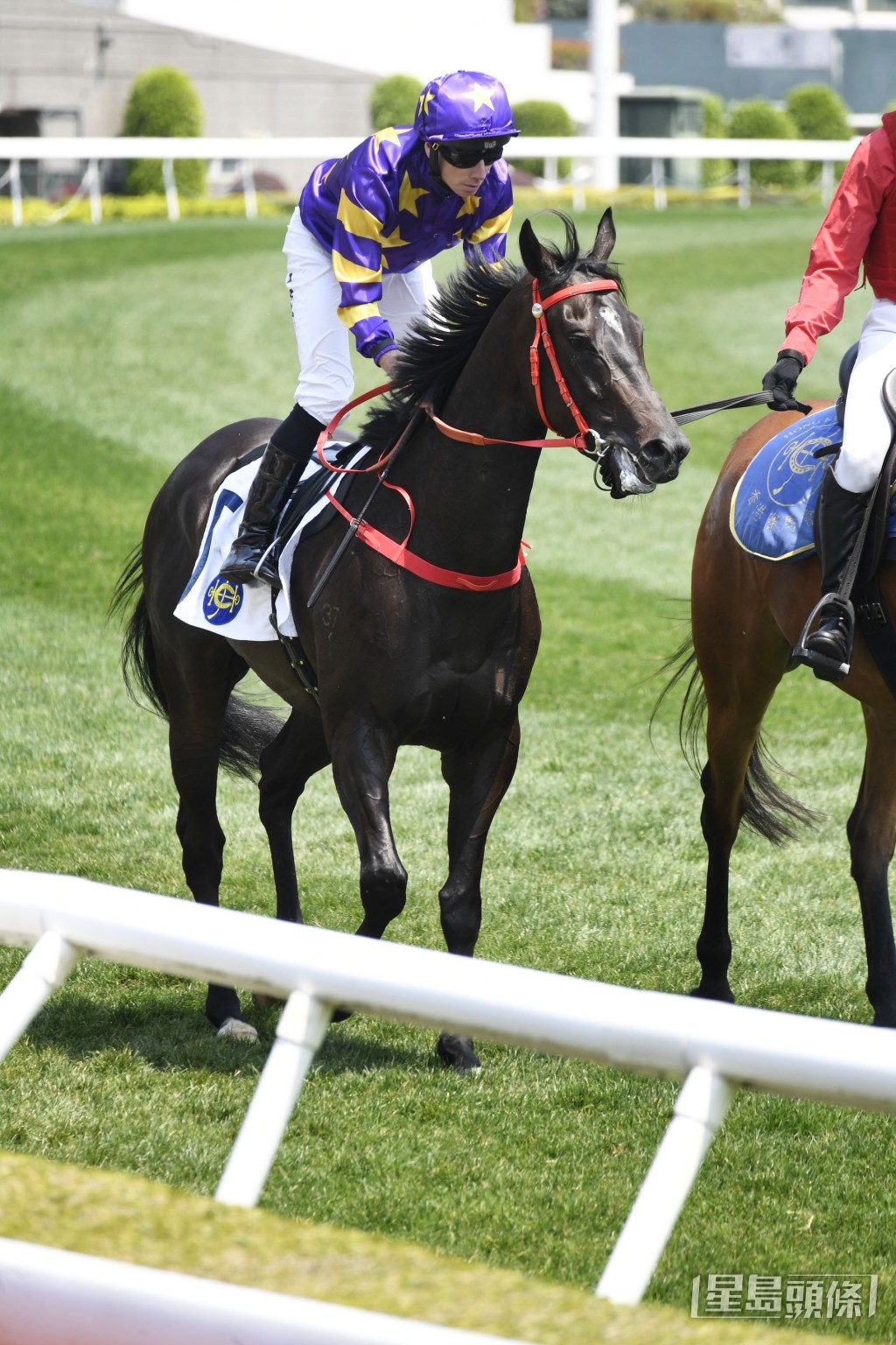 「綠野飛馳」今仗威力有增無減，志切補中。