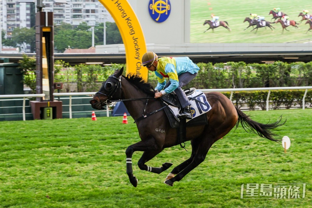 「維港智能」在跑馬地1200米試閘中以首名過終點。