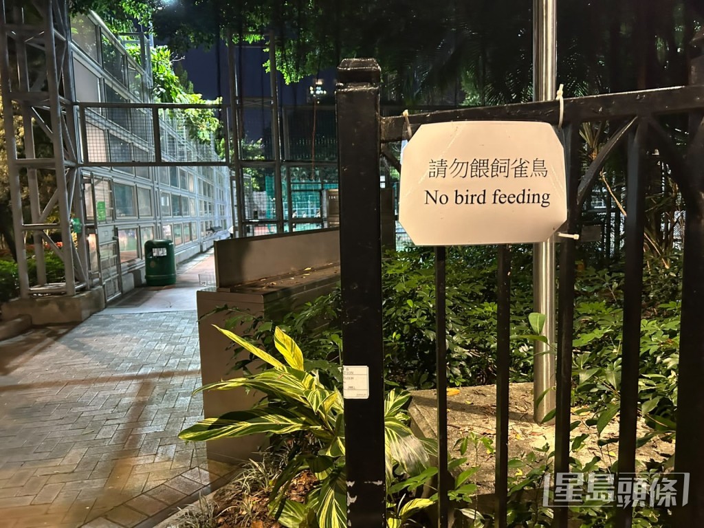 公園有大量告示牌呼籲市民切勿餵飼野鴿，避免飼料惹來蟲鼠。