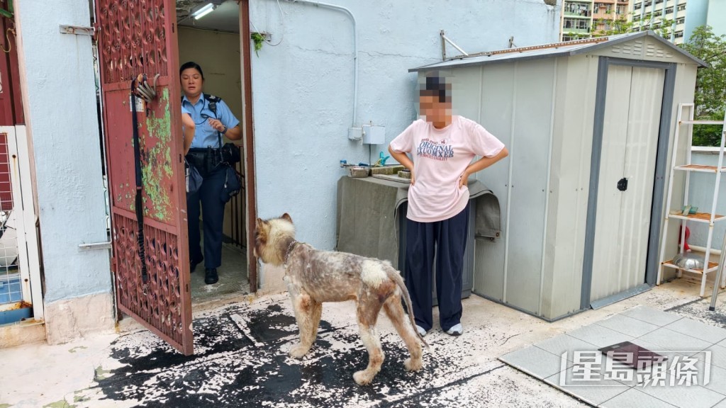 警方接報到場調查，在同一大廈單位尋獲女狗主。黃文威攝