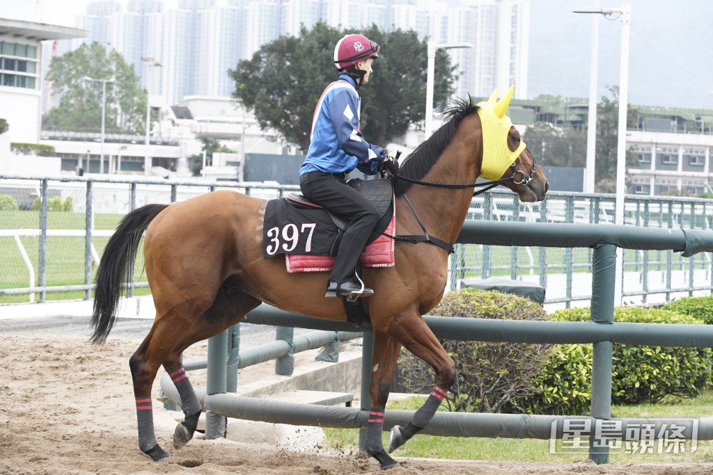 「金鑽精靈」擔高頭走極具朝氣，至今最弗一次。