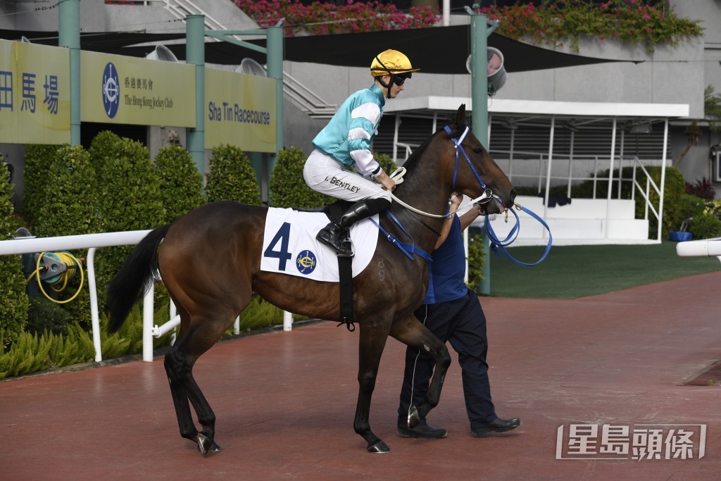 目前馮柏基養有「飛雲」，由方嘉柏訓練。