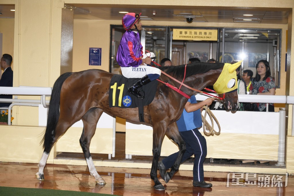 「勝在當下」最近由田泰安接手，剛戰在谷草千二米得第二。