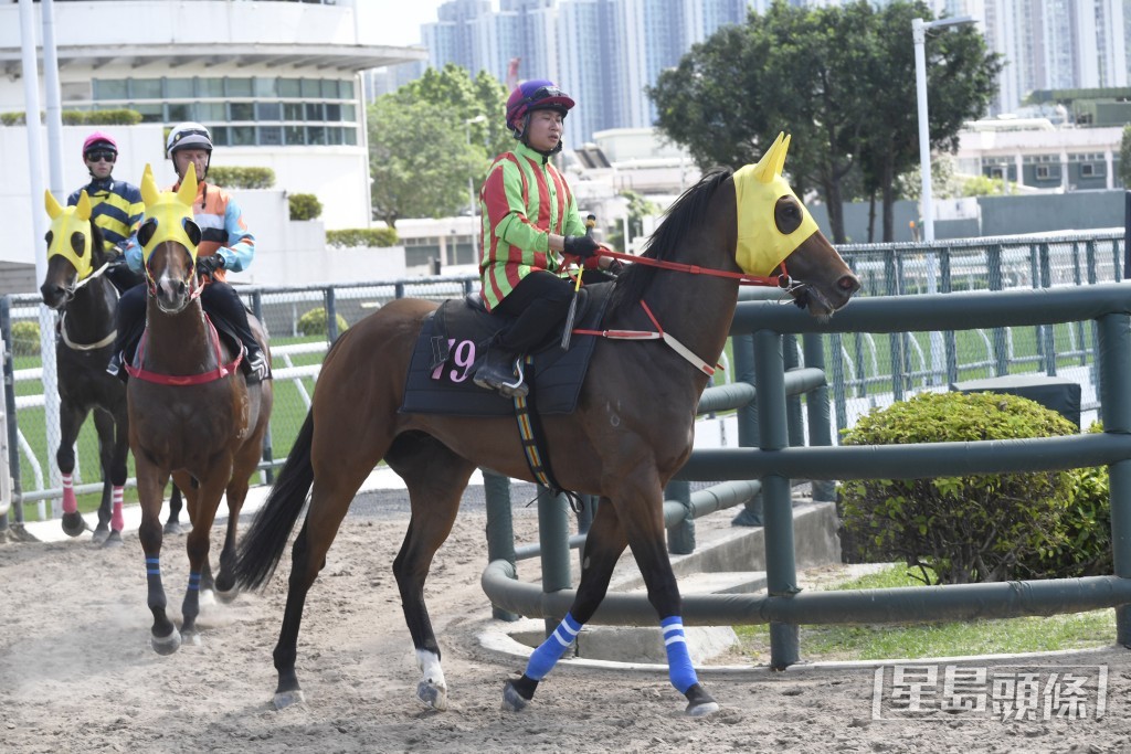 「有心意」神色活躍朝氣勃勃，單講狀態甚佳。