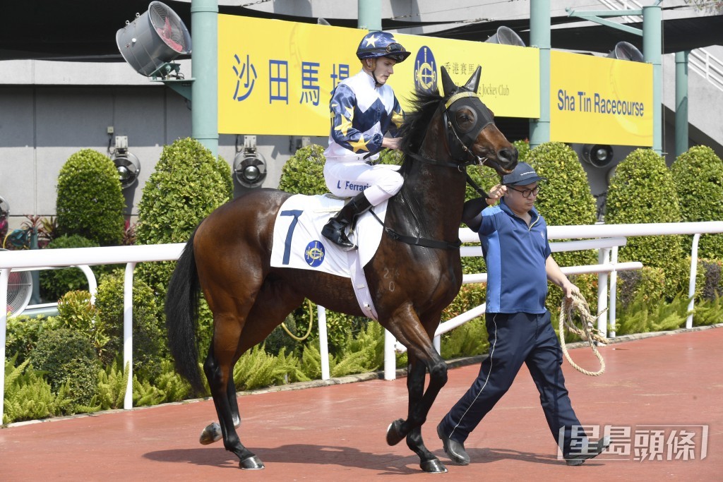 「星之願」剛戰在谷草千二米後上跑第二。