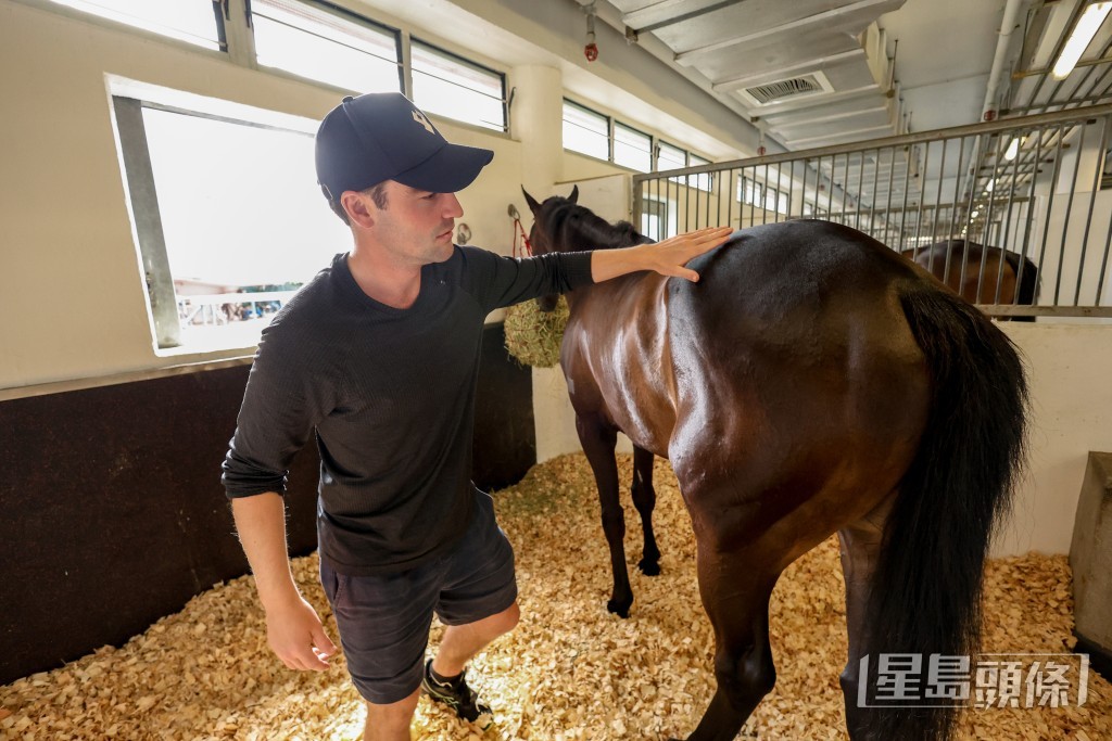游達榮非常重視馬匹的起居環境。