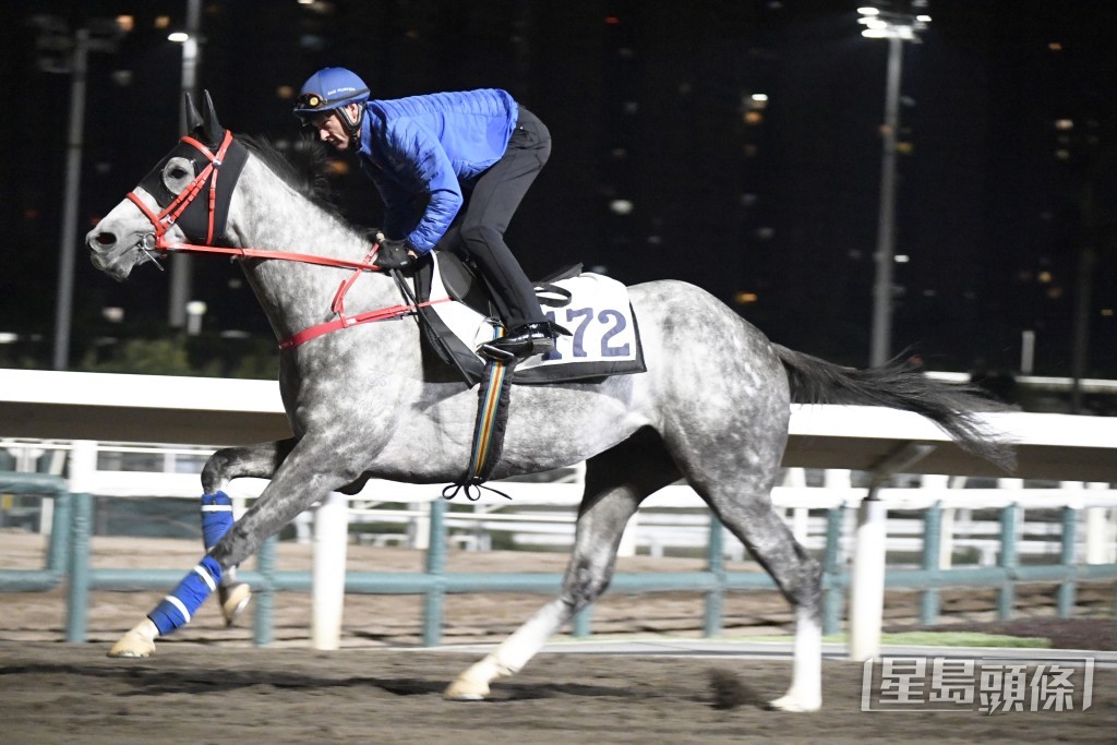 「大众福星」神态活泼火力未减，勇态有增无减。