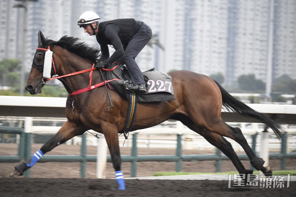 「追风」快慢由人姿态顺畅好，新胜犹勇未见走样。