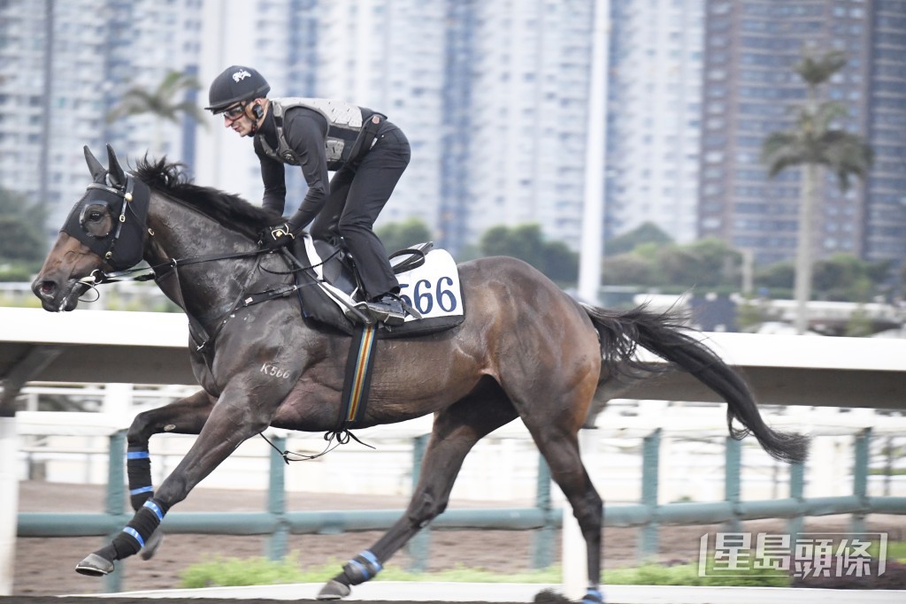 「穿甲金鷹」步幅開得好闊又夠急勁，火力再增強。