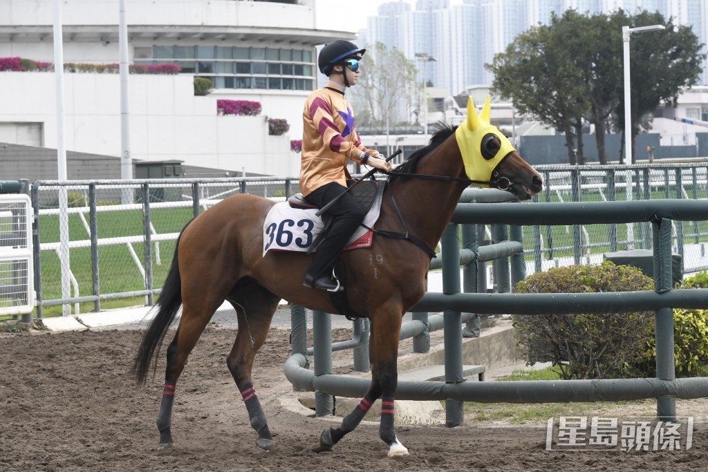 「星月飛雲」助跑姿順暢落腳輕巧，走勢譽滿欄邊。