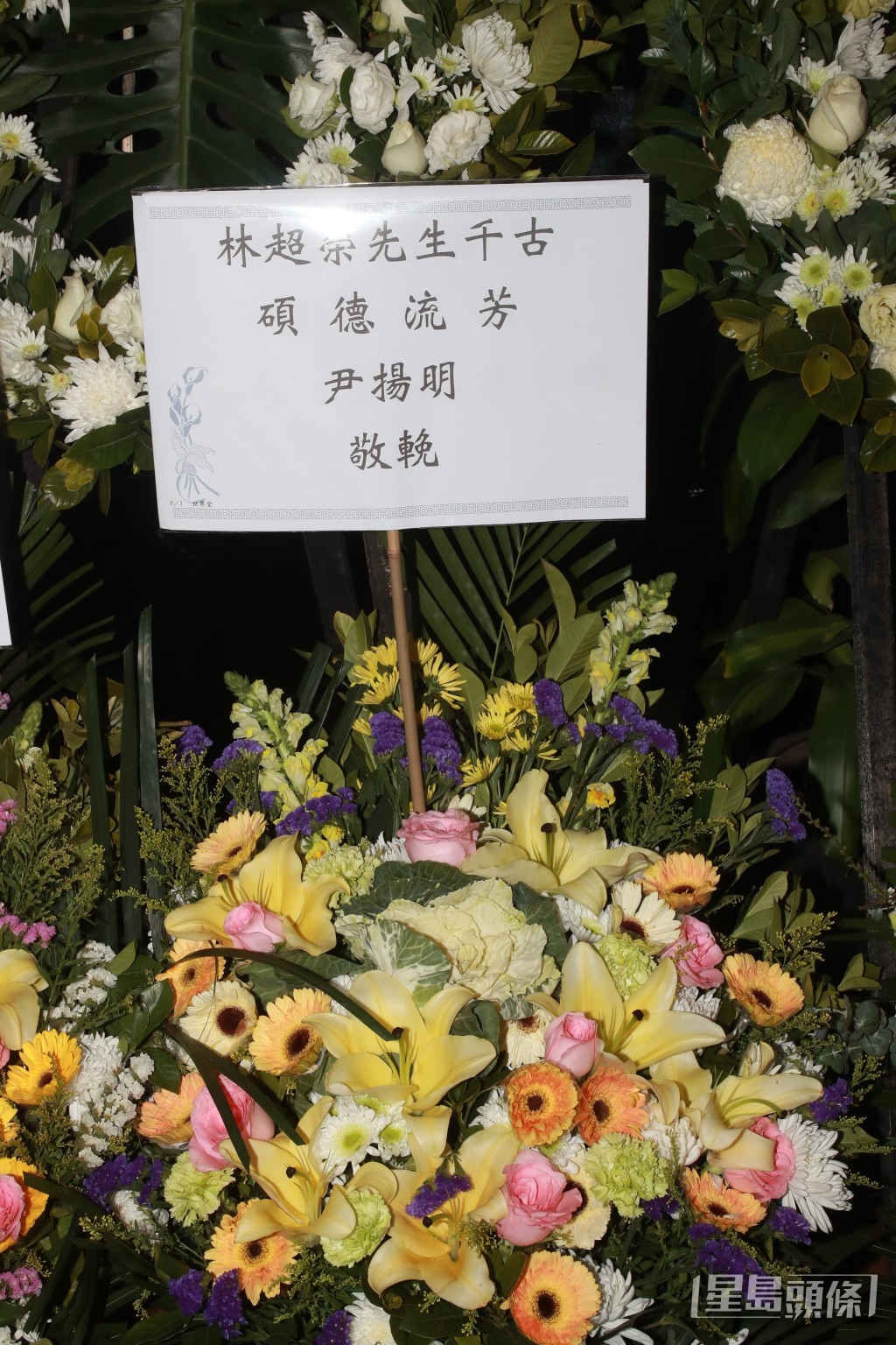 尹揚明