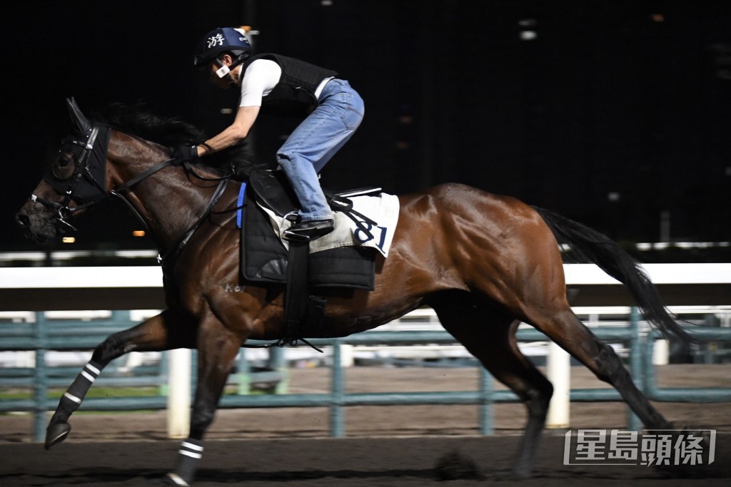 「同心同樂」火力不俗極具好感。