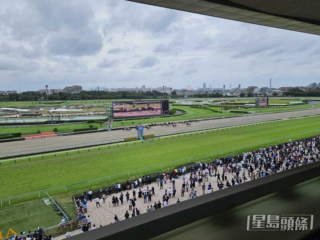 今日中山競馬場將舉行短途馬錦標。  Mike Lam攝