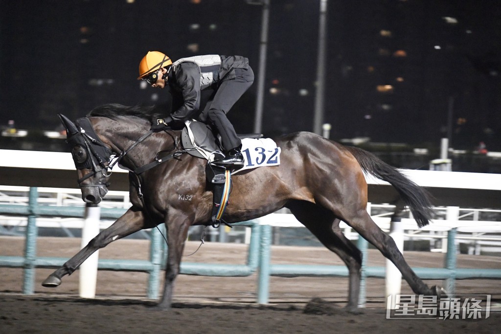 「團結戰靈」暗火湧現神態活躍，不遜贏馬時候。