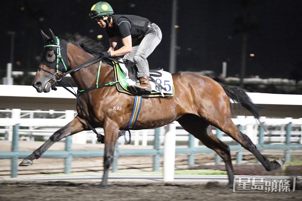 「包裝創新」精神奕奕身光頸靚，具備爭勝水準。