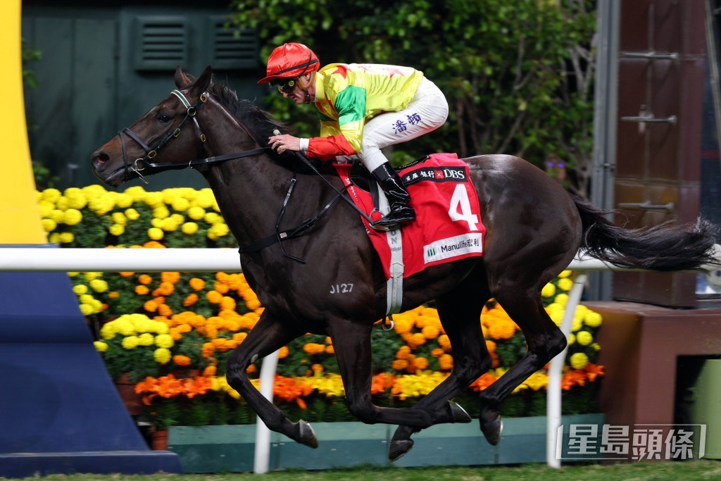 「太陽勇士」力爭取得今季第三場跑馬地頭馬。 「太陽勇士」力爭取得今季第三場跑馬地頭馬。
