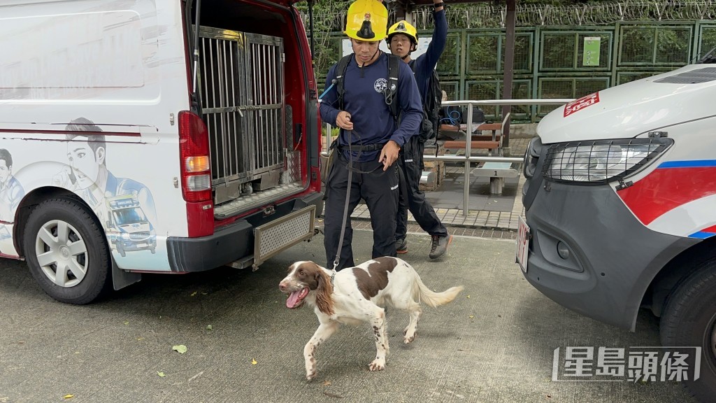 消防出動搜索犬協助搜救。 消防出動搜索犬協助搜救。