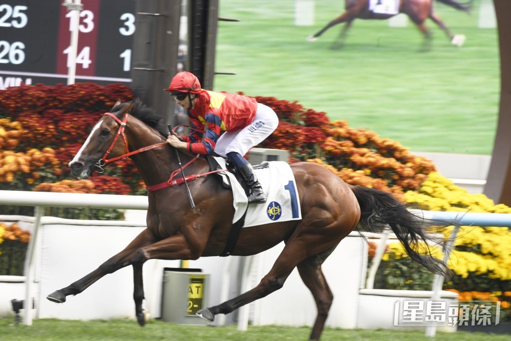 「醒目高球」上仗輕易取得在港第二場頭馬。