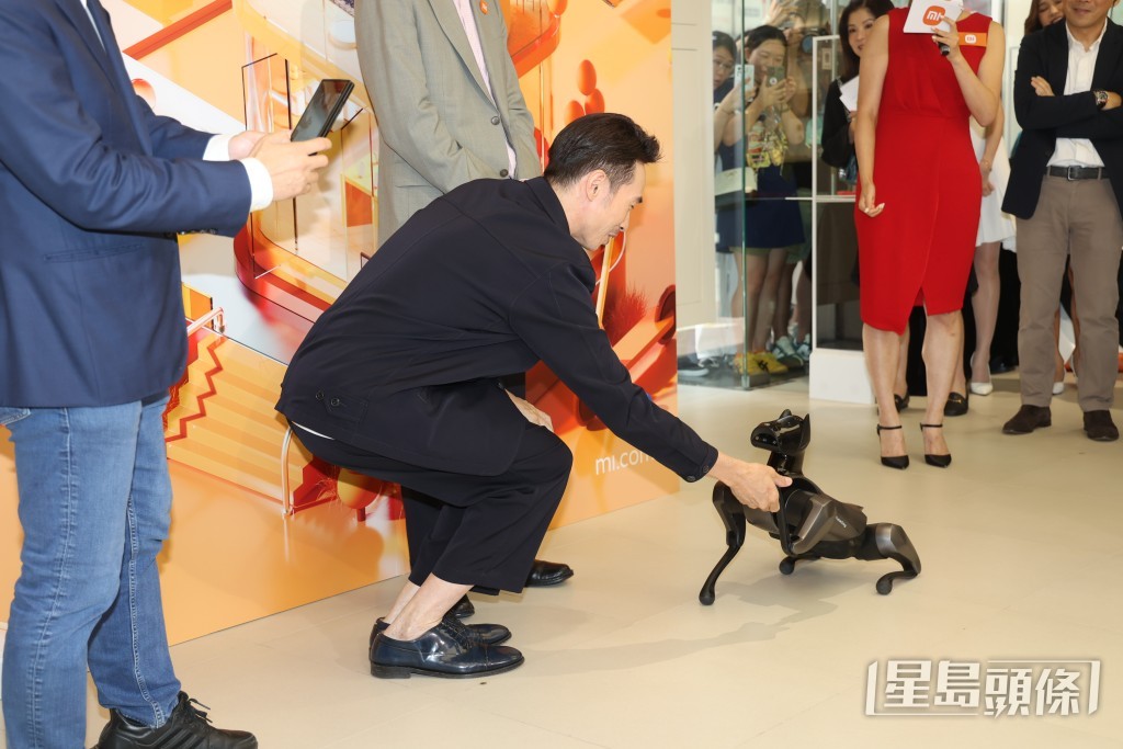 陈豪与机械狗互动。
