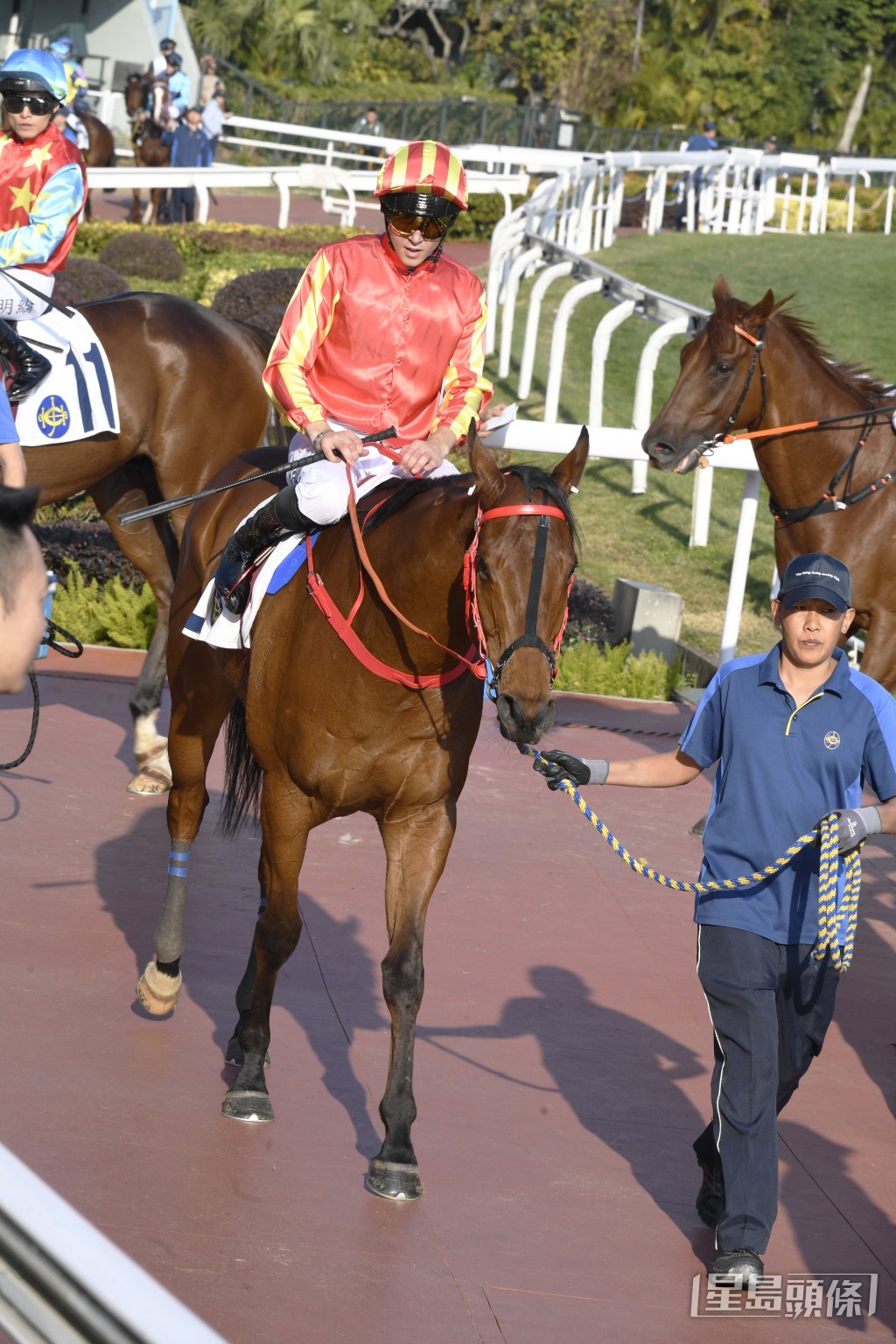 「健康快車」今季繼續專攻田草千二米，至今取得一亞兩季。