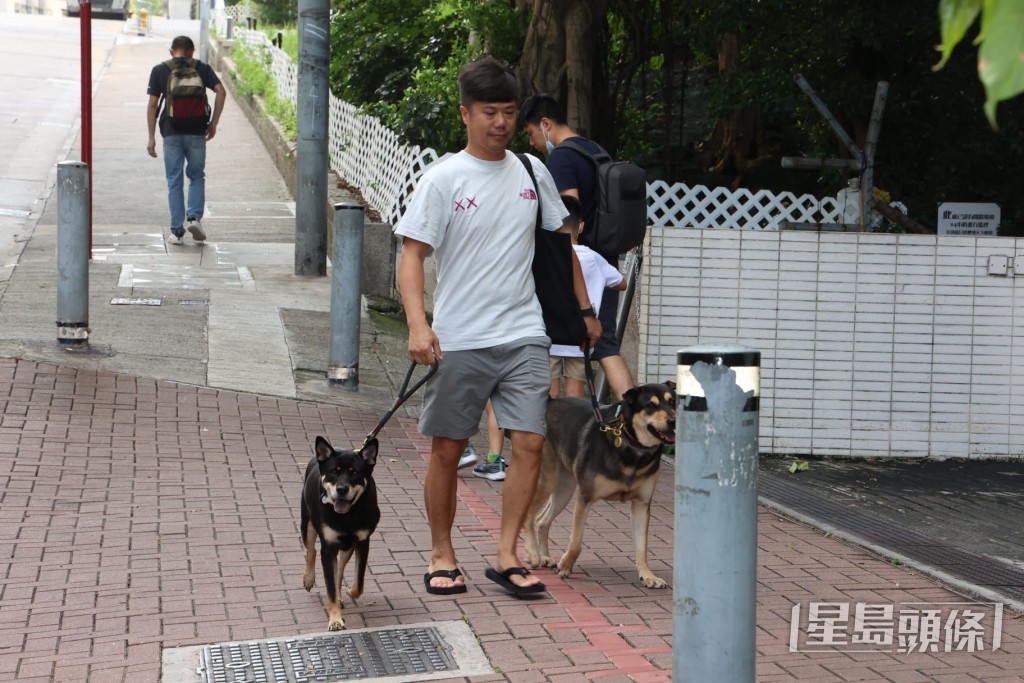 獨自帶愛犬落街散步。