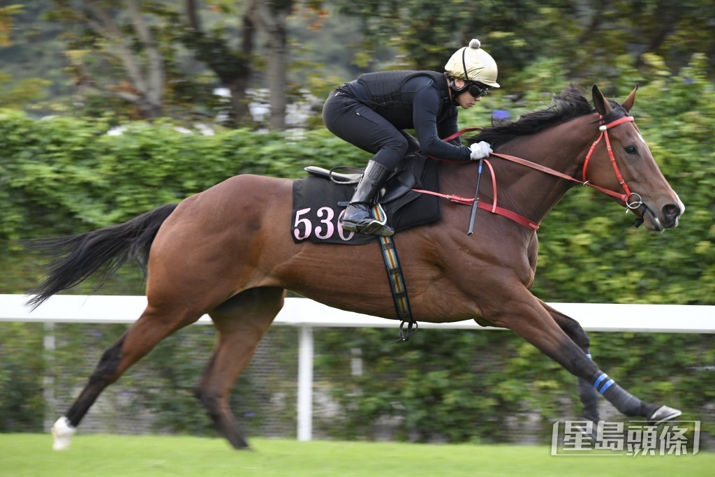 「朗日自強」跳來從容不迫，大馬身輕步順力充裕。