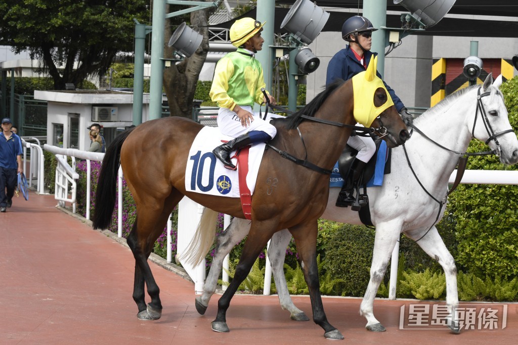 「摯友心得」明日再跑泥地千二米。