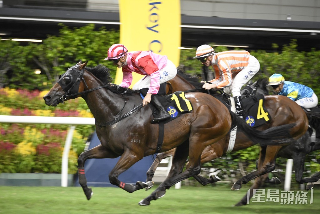 「祥勝力駒」轉投廖康銘馬房後，至今四戰取得一次亞軍。