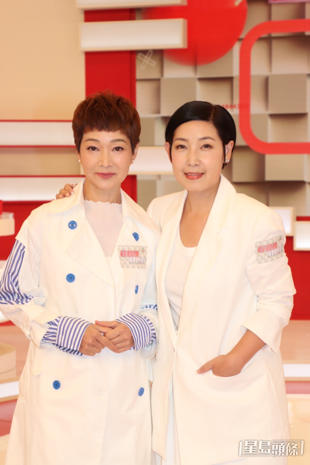 黎芷珊現時仍有作客TVB節目。 黎芷珊現時仍有作客TVB節目。
