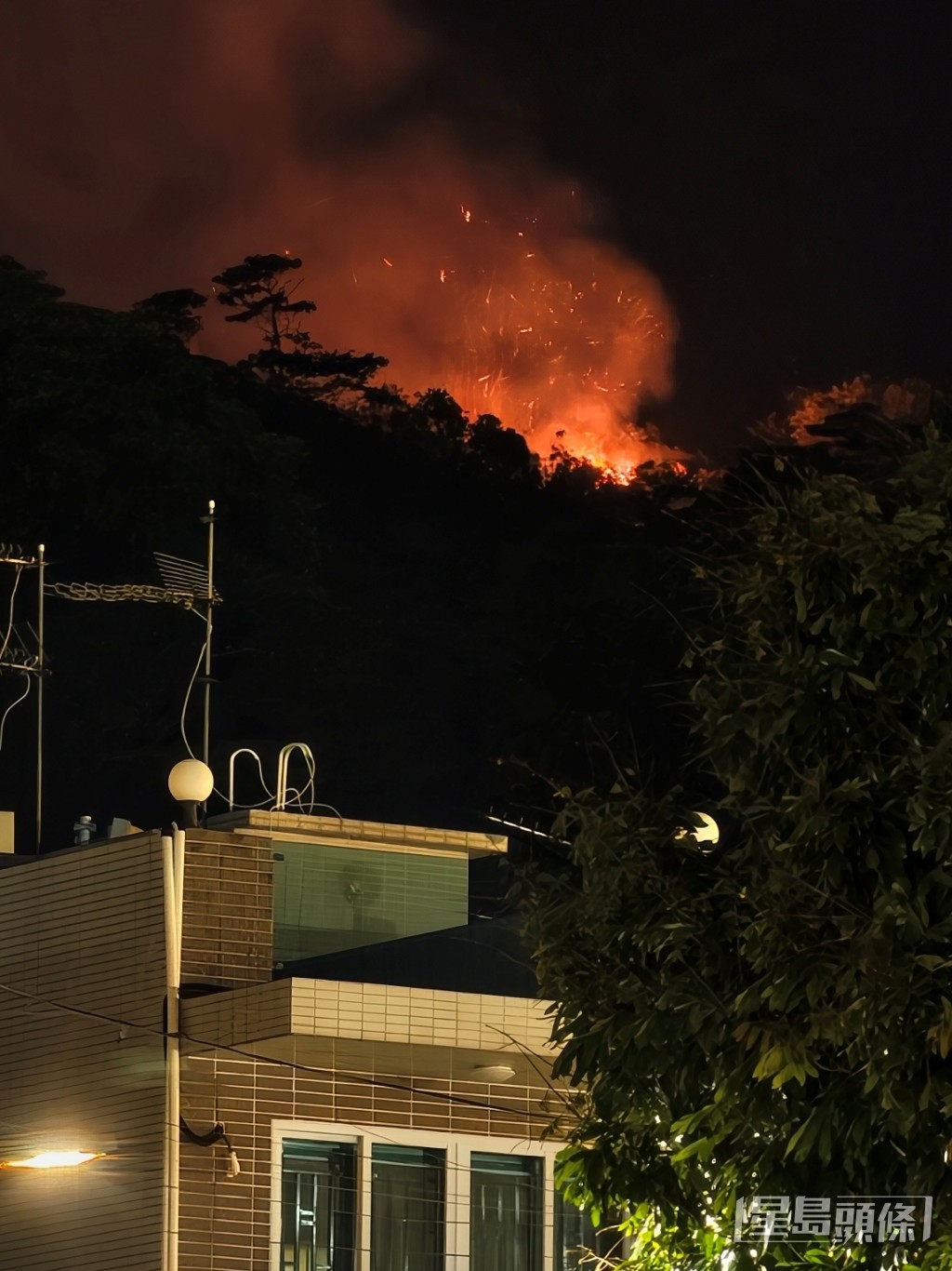現場為大埔汀角路犁壁山新村對開八仙嶺山坡。