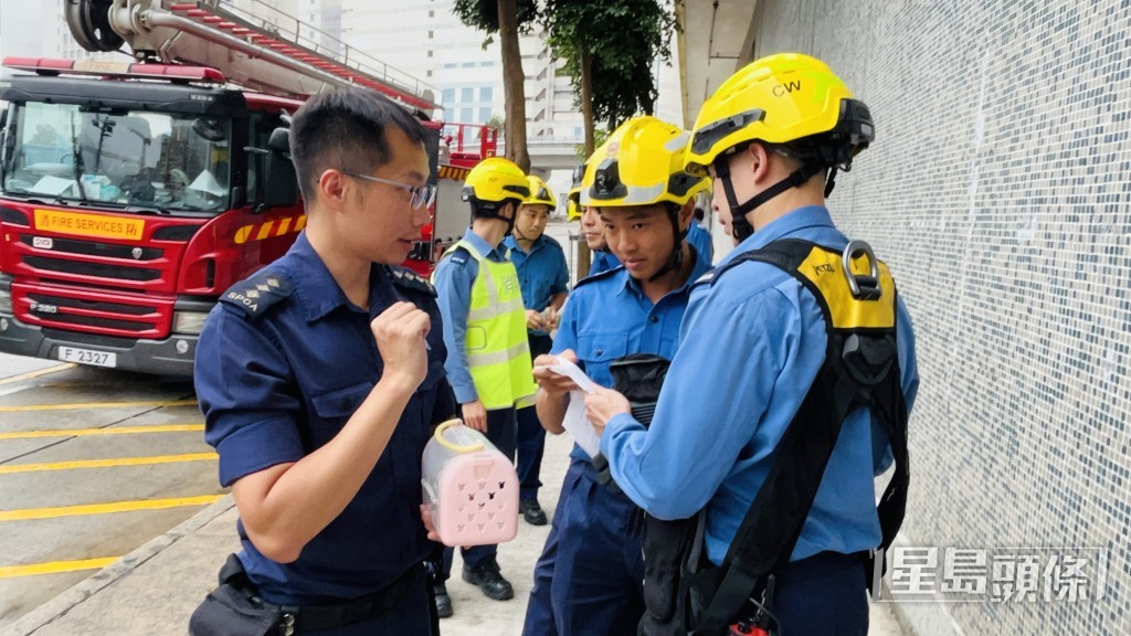 小燕子獲救後被愛協人員帶走檢驗。蔡楚輝攝 小燕子獲救後被愛協人員帶走檢驗。蔡楚輝攝