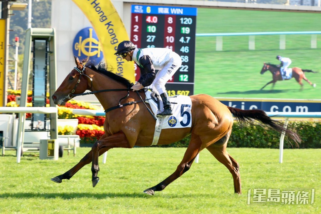 「中國心」上仗跑田草千八米即輕勝。 「中國心」上仗跑田草千八米即輕勝。