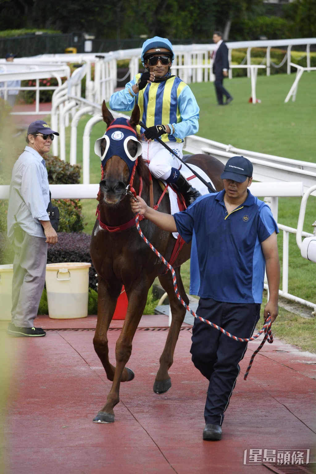 「五福星」上季尾在田泰安胯下在泥地短途賽贏馬。