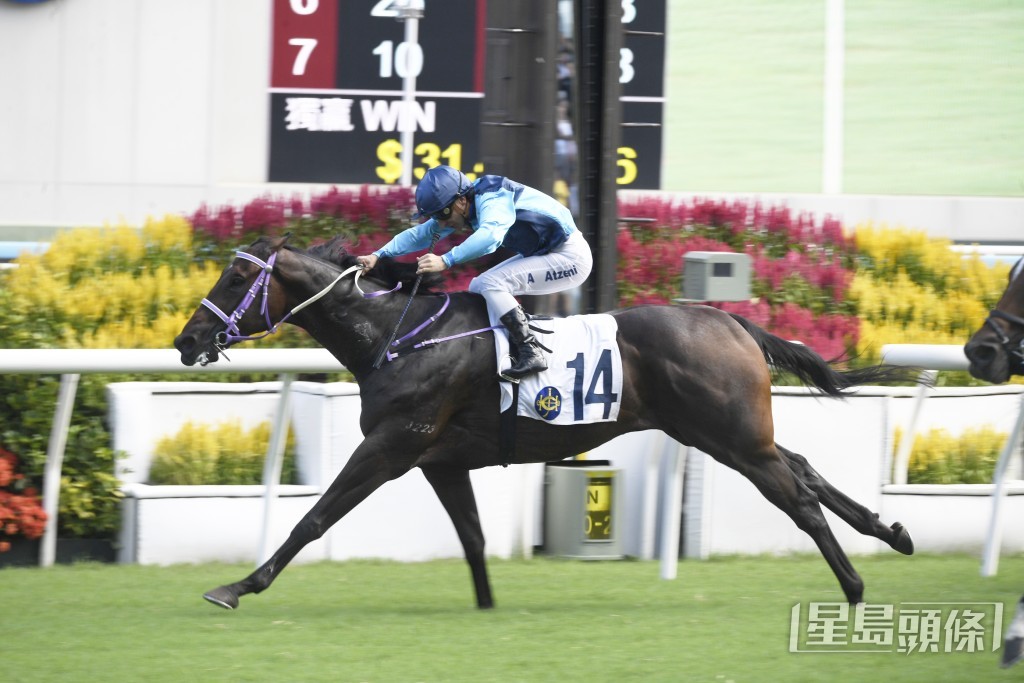 「新力驕」在國慶日田草千二米打開在港勝門。