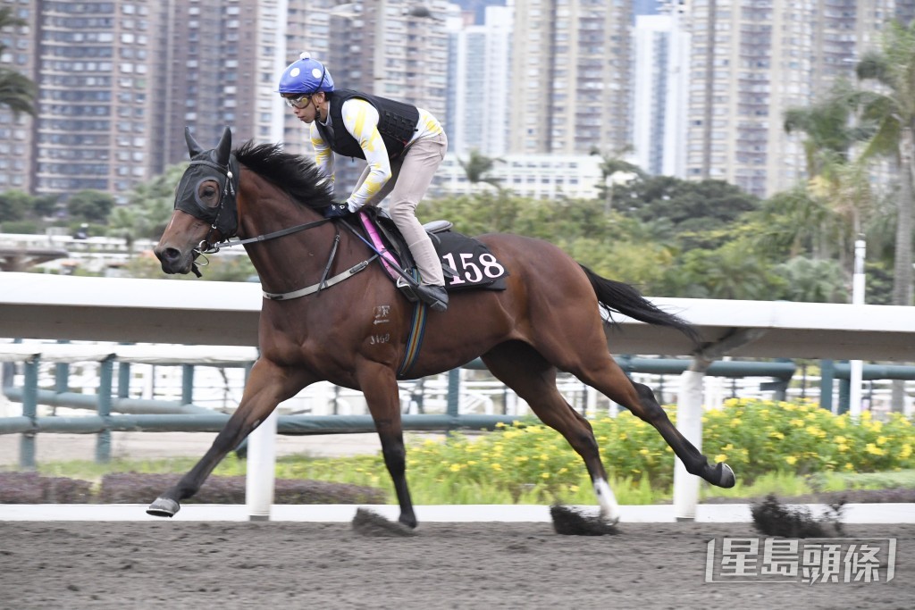 何泽尧今朝踏正六点就出现试「安康万里」。