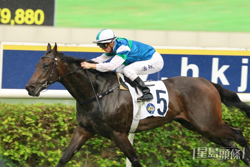 「合夥飛馳」剛戰在田泰安胯下跑第五。 「合夥飛馳」剛戰在田泰安胯下跑第五。