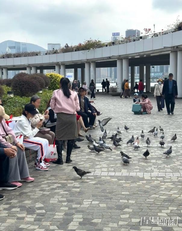 有操普通話的遊客一邊餵鴿，一邊拍照。