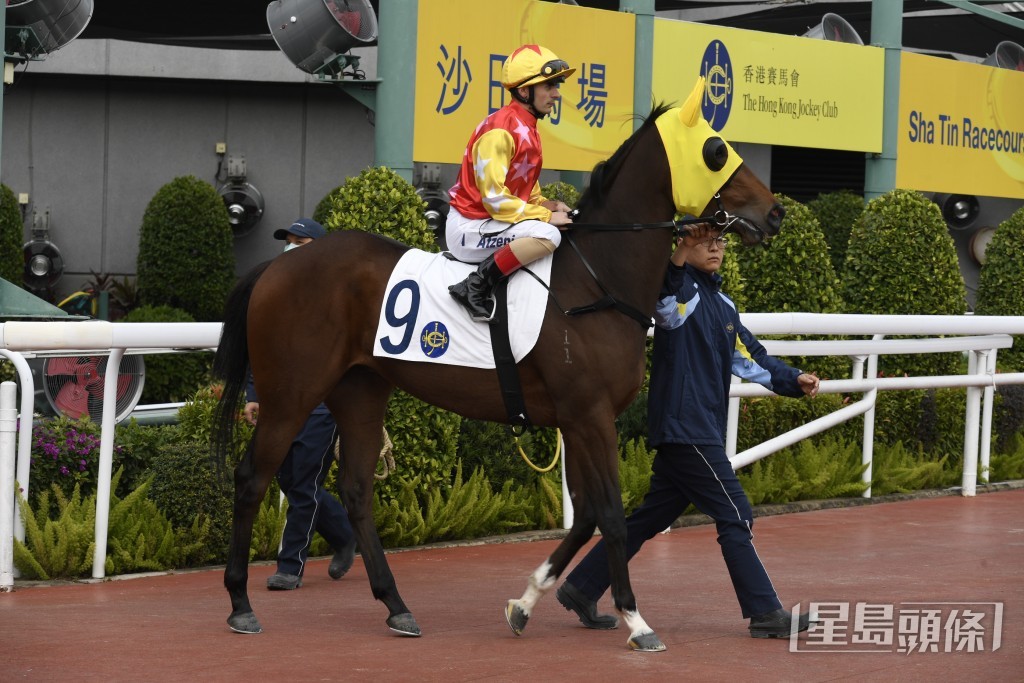  「宇上龍騰」再攻沙田直路賽，負輕磅排有利檔位，有機會交出更佳成績。