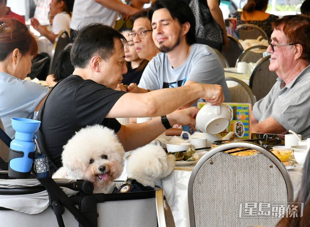指引涵蓋食肆經營者、攜狗顧客及一般食客的注意事項。資料圖片 指引涵蓋食肆經營者、攜狗顧客及一般食客的注意事項。資料圖片