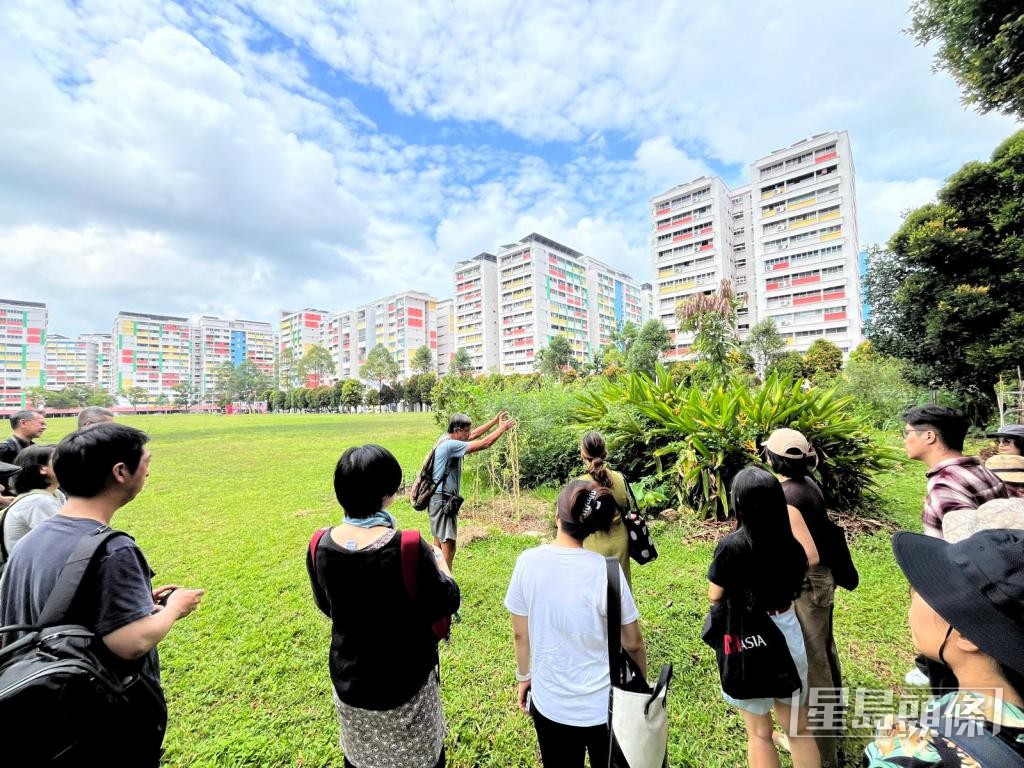 早前劉海龍到新加坡考察,發現當地居民於閒置草地開拓生態友善的共耕空間。 早前劉海龍到新加坡考察,發現當地居民於閒置草地開拓生態友善的共耕空間。