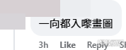 網民意見(帖文留言截圖) 網民意見(帖文留言截圖)