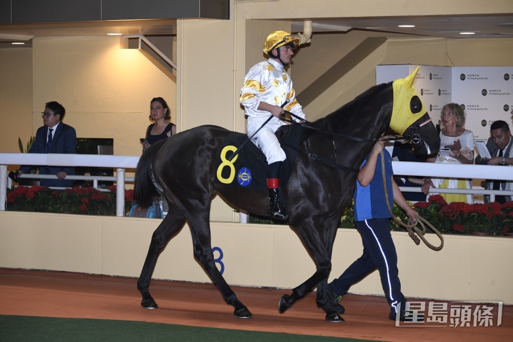 「你知我得」全力爭取在港首場頭馬。