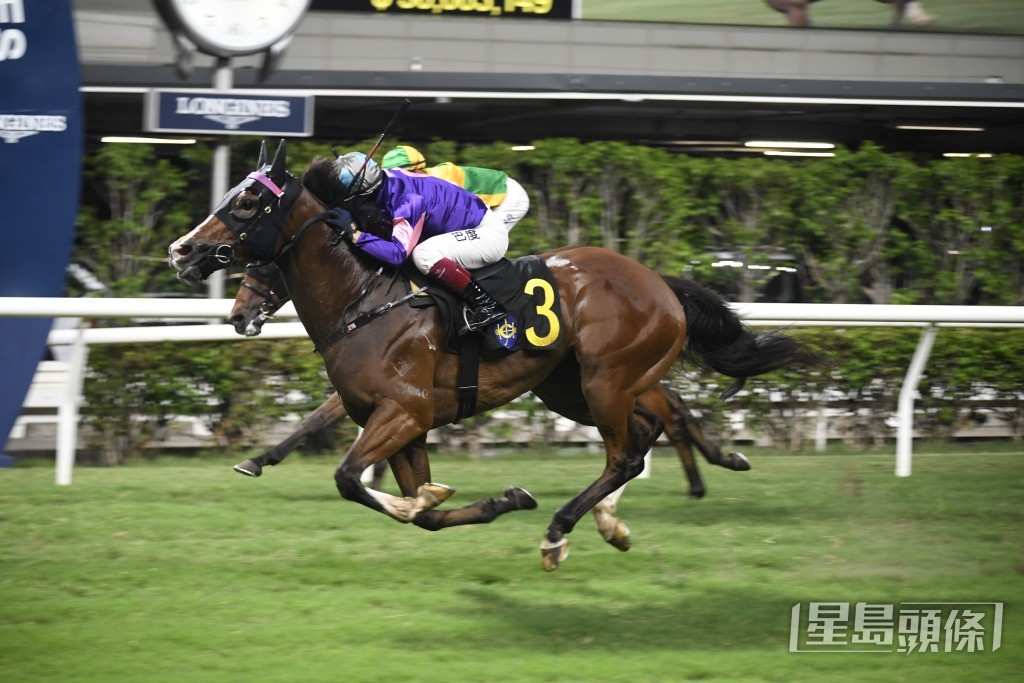 「椒椒醒」周三將全力爭取跨季四連捷。