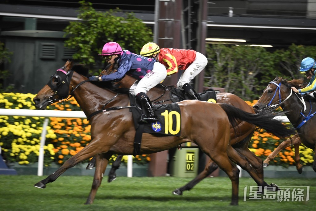 「智勝攻略」匆匆再出，望能收復前失，贏回一場頭馬。