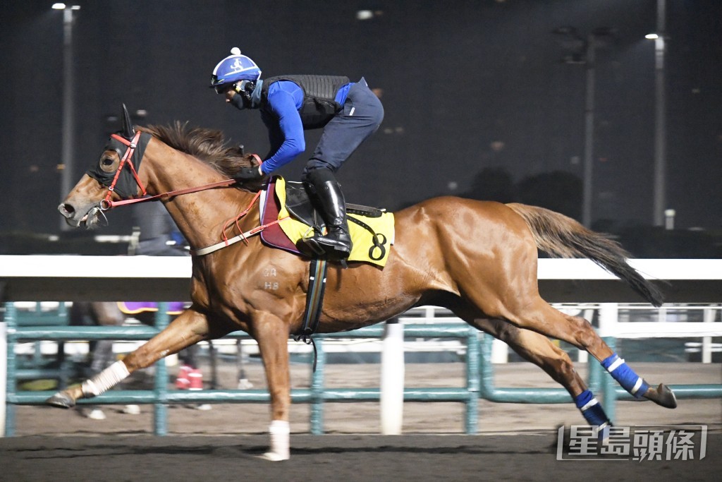 「永远美丽」今朝进行试跑，蔡约翰同副练跟出跟入。