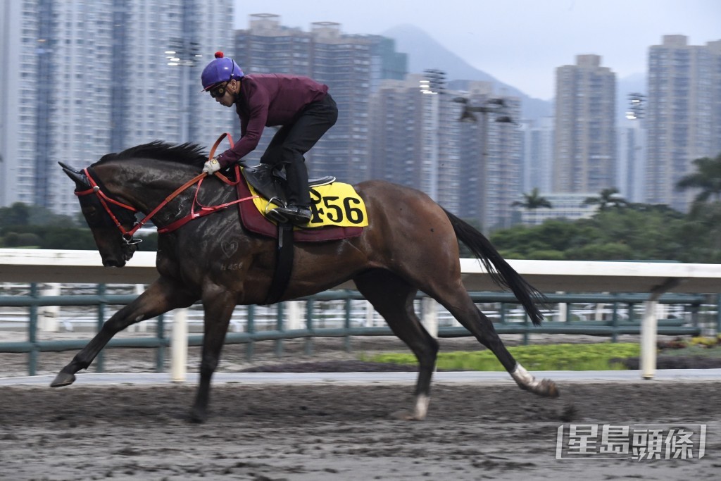 「川河動駒」走勢硬淨勁度不弱。