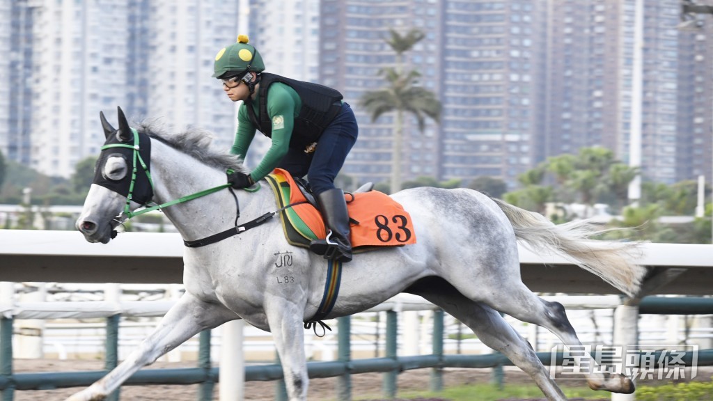 「應龍飛影」力度不斷增強，勇銳之餘持續進步。