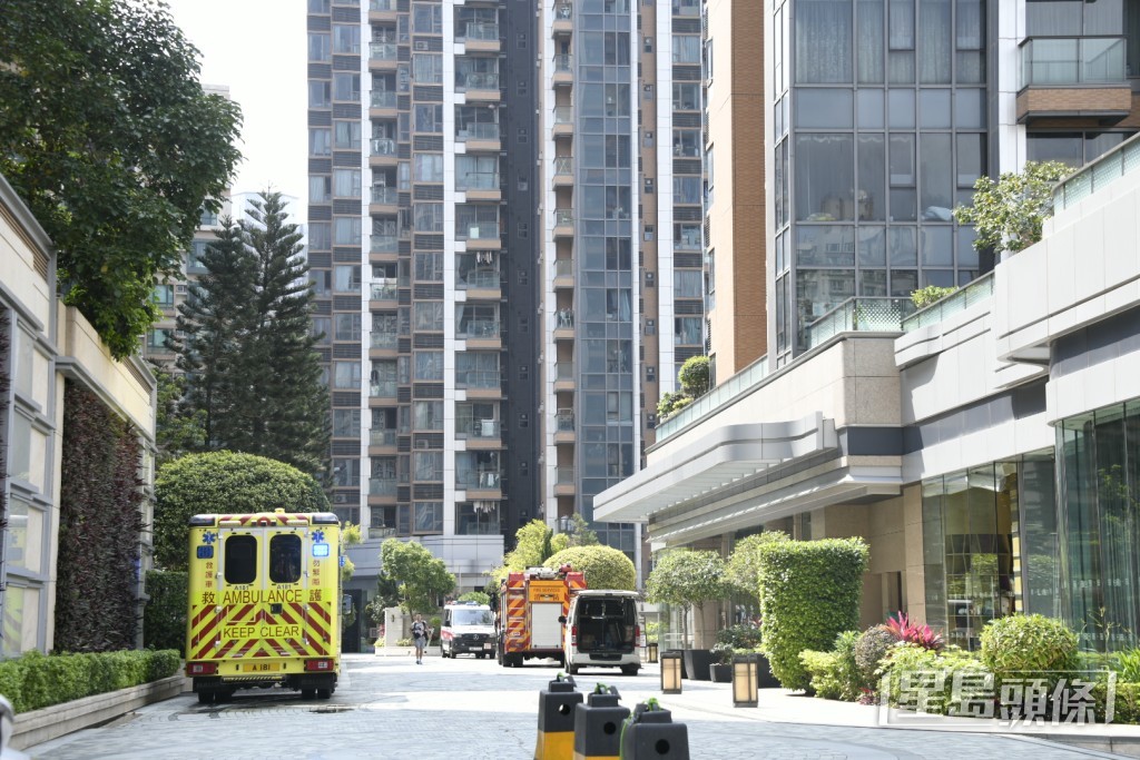 現場為元朗譽88一座。楊偉亨攝