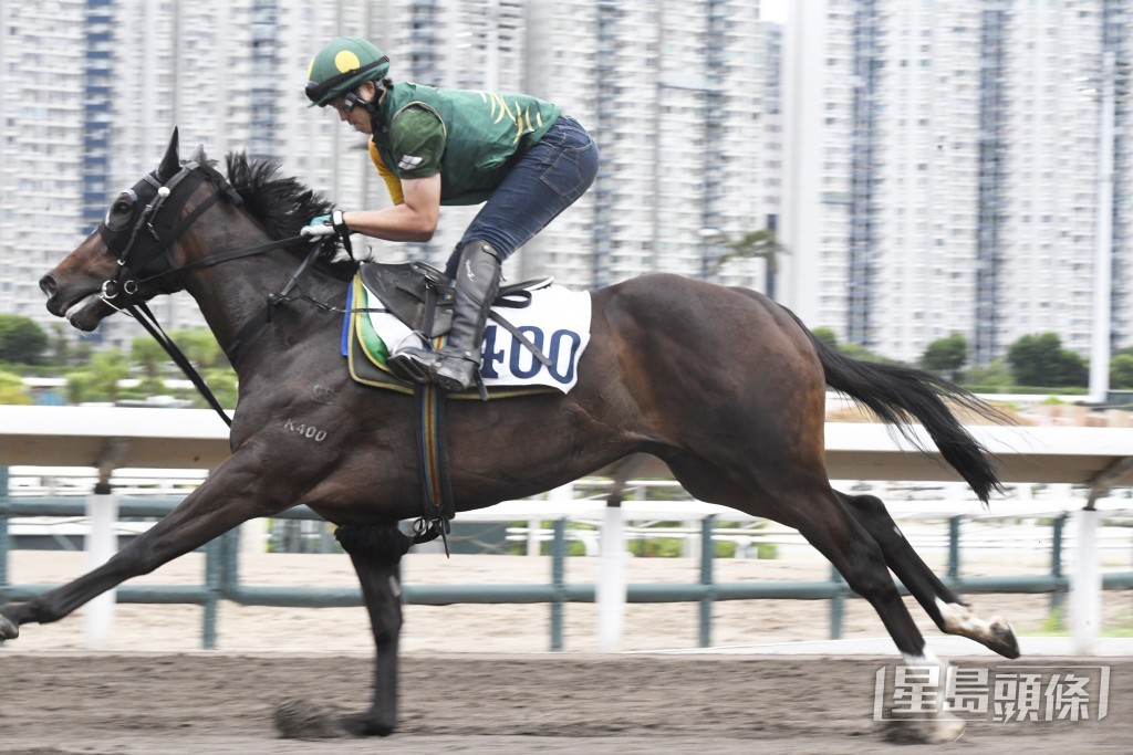 「友瑩亮」走勢硬朗步挺開揚，馬身保持壯健。